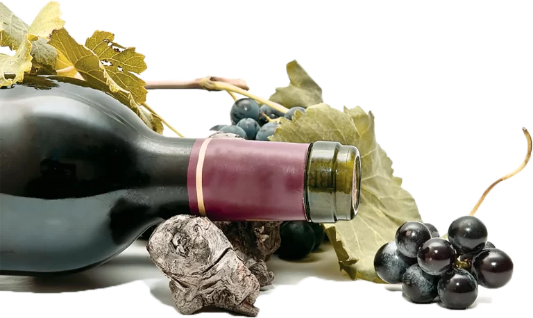 Bouteille vin rouge, listrac médoc à Bordeaux, château la rose des lys